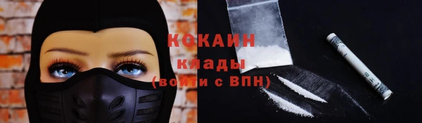 крисы Лабытнанги