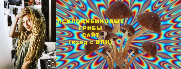 прущие грибы Лагань