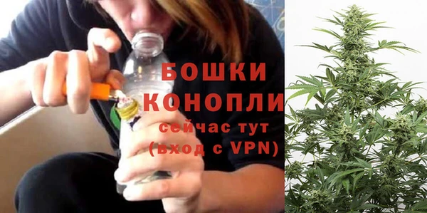 прущие грибы Лагань