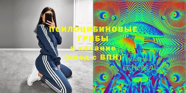 герыч Ладушкин