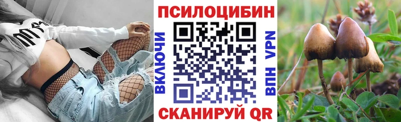купить   Оханск  Псилоцибиновые грибы GOLDEN TEACHER 
